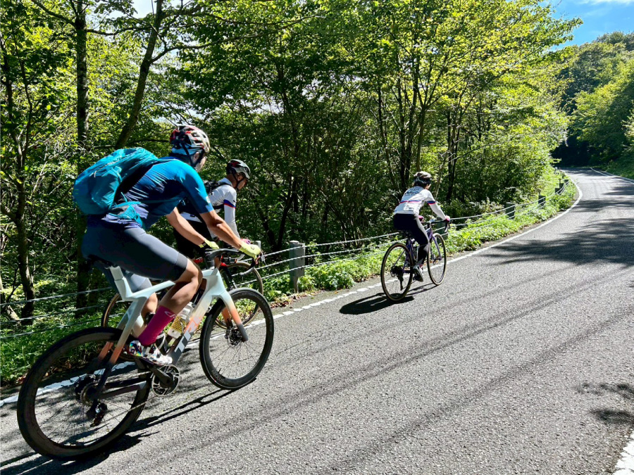 アクティブ事業