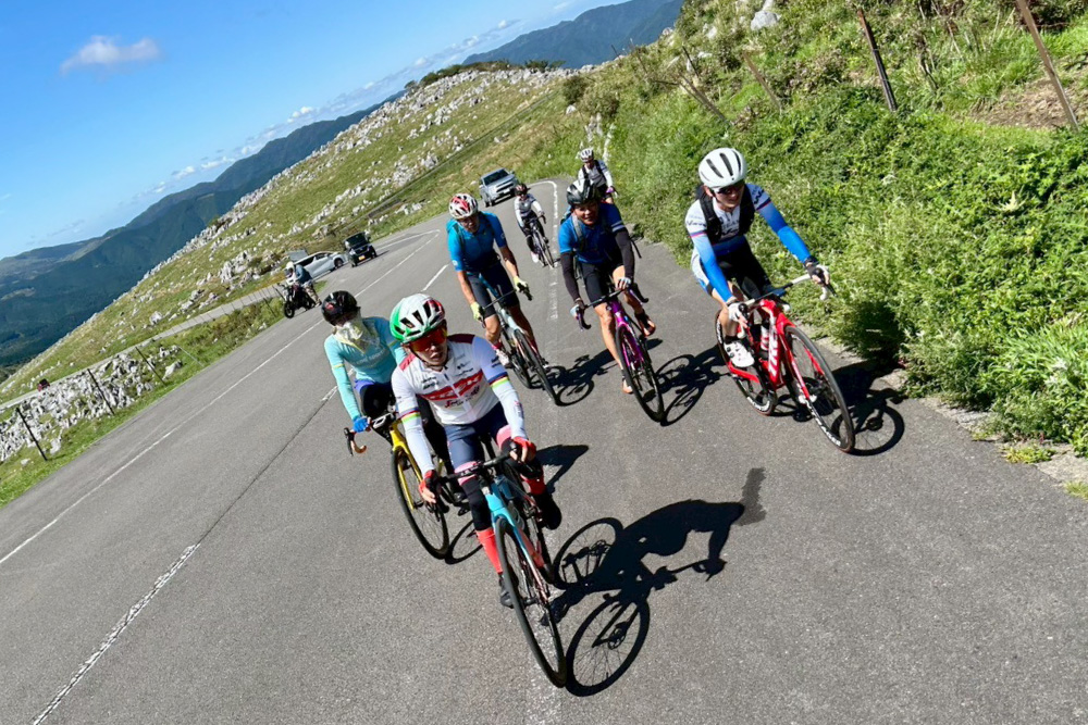 株式会社ウェーブ　アクティブ事業